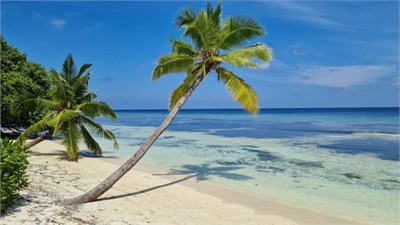 Мальдивы за 120 000 р. 1647