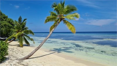 Мальдивы за 120 000 р. + консультация 1660